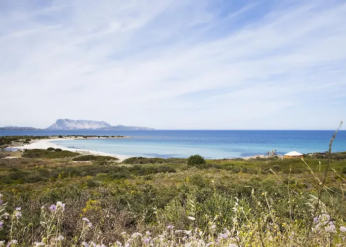 Aparthotel Approdo 3*