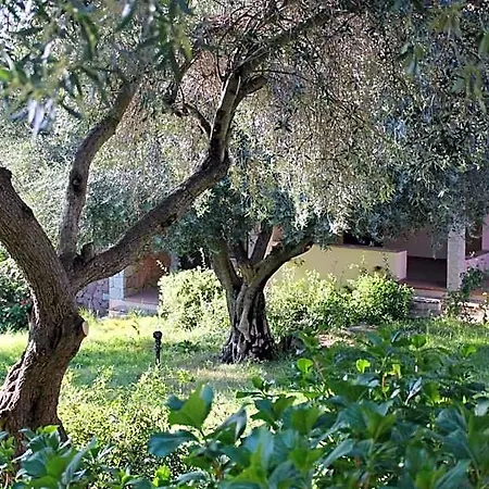 Approdo Verde