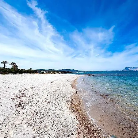 Aparthotel Approdo Verde 3*