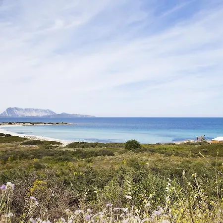 Apartahotel Approdo 3*